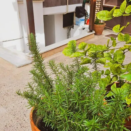 Stone Lägenhet Chalkís